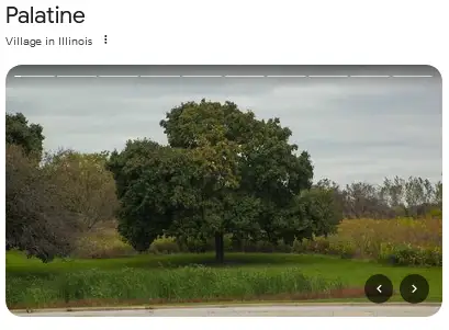 palatine illinois
